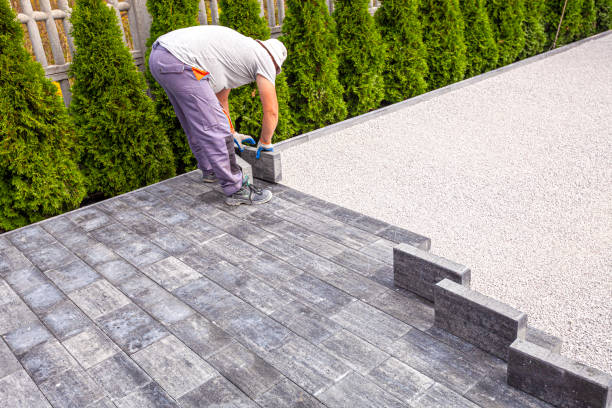 Best Local Driveway Pavers  in Horace, ND